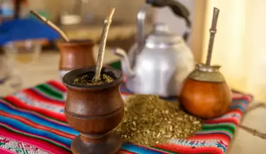 Yerba mate