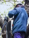 PAMI Jubilados Anses