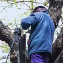 Cortes de luz en Mendoza: estos son los nueve departamentos afectados hoy