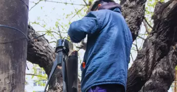 PAMI Jubilados Anses