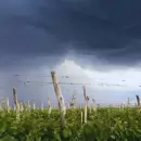 Alerta amarilla en varias provincias por granizo, lluvias intensas y fuertes vientos