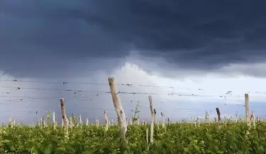 Tormenta