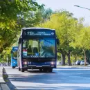 Desde este lunes, m�s de 20 l�neas de colectivo vuelven a circular por calle Godoy Cruz