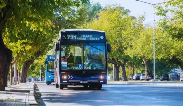 Colectivo