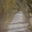 El martes inicia con calor y alerta por Zonda en Mendoza