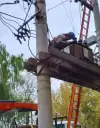 D�lares