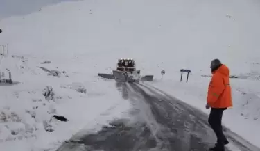 nieve