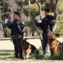 Más de 500 policías custodiarán el partido entre Godoy Cruz y Banfield en el Malvinas Argentinas