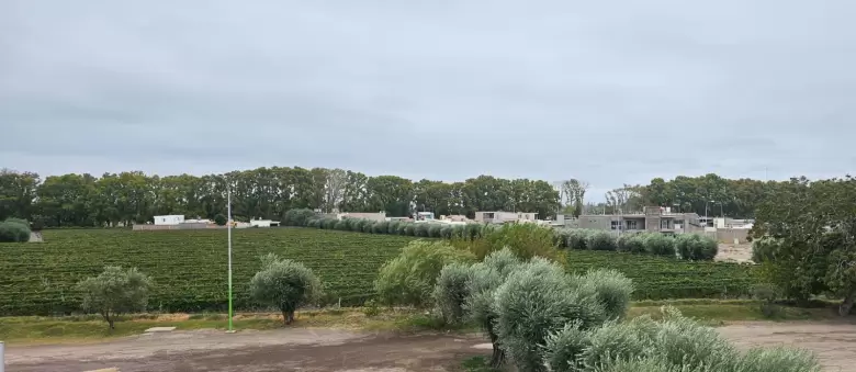 Imágenes tiempo Mendoza