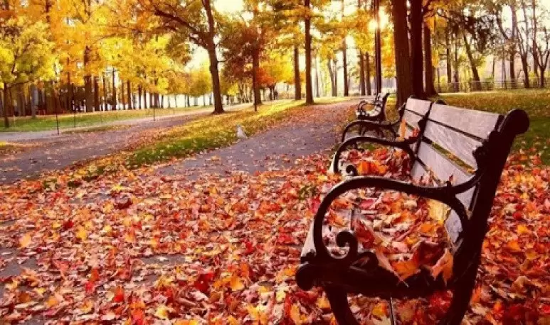 mendoza viento zonda otoño