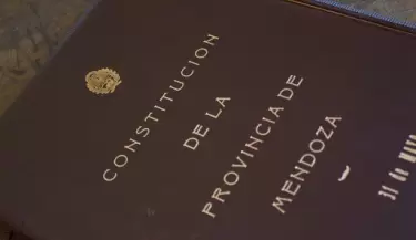constitucion provincial