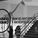 Un dinosaurio en el Parque: intervenci�n del ejemplar paleontol�gico del Museo Moyano