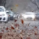 Alerta meteorol�gica en Mendoza: viento Zonda, nevadas en cordillera y mucho fr�o en el llano
