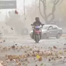 Alerta por fuerte viento Zonda para Mendoza: estas zonas ser�n afectadas