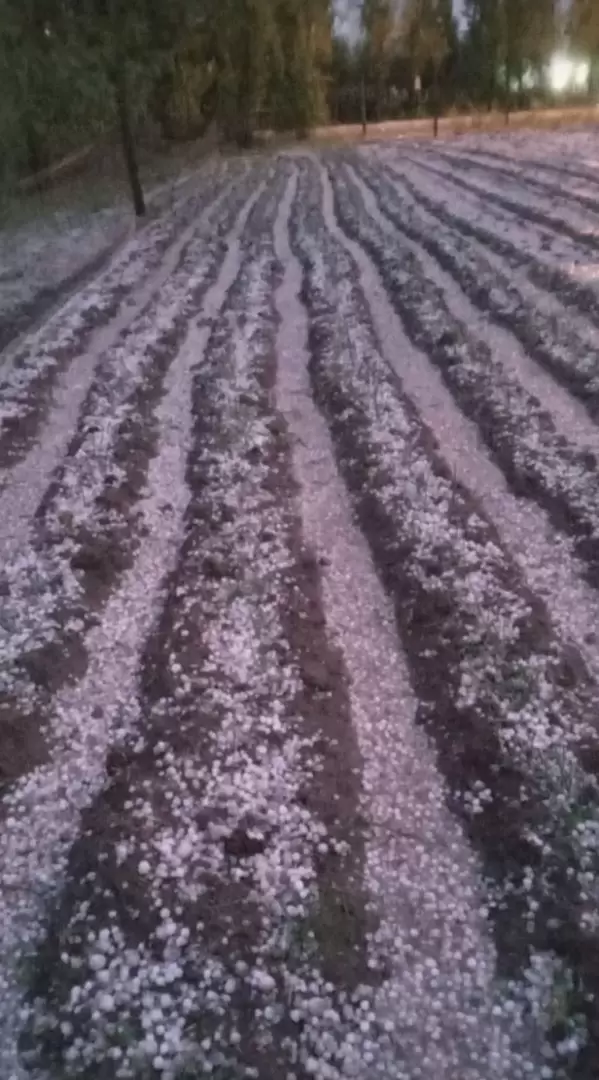 Granizo en San Carlos