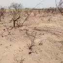 Los días después del fuego