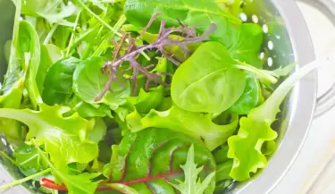 Ensaladas verdes