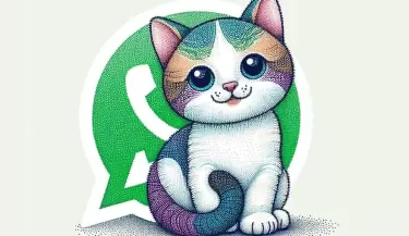 modo gato