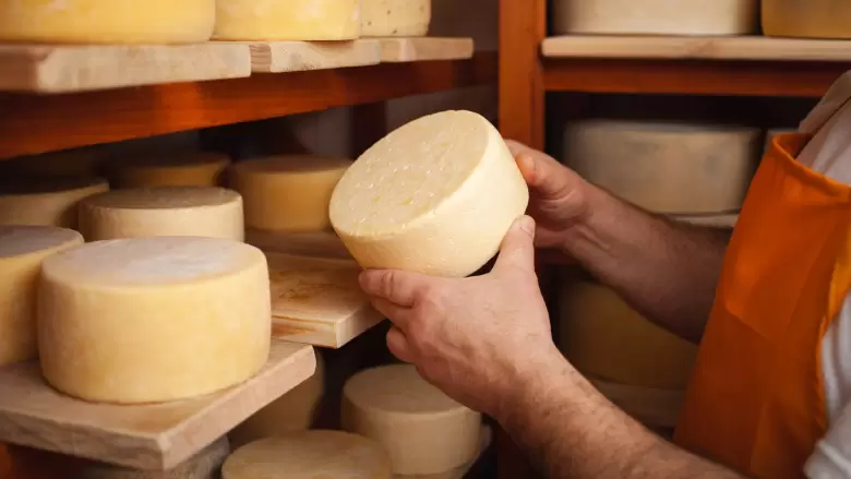 QUESO