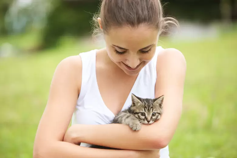 29 de octubre DIA INTERNACIONAL DEL GATO