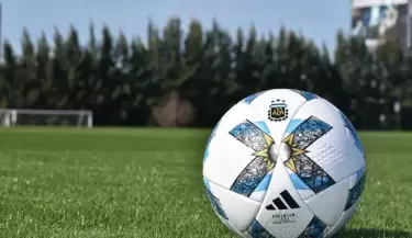 liga profesional