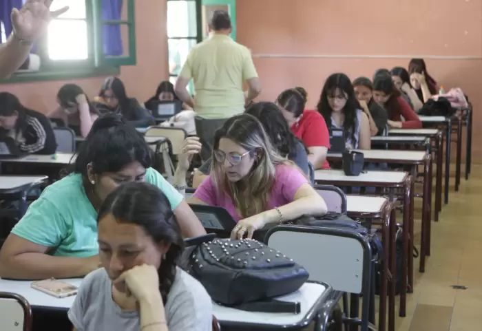 análisis educación superior