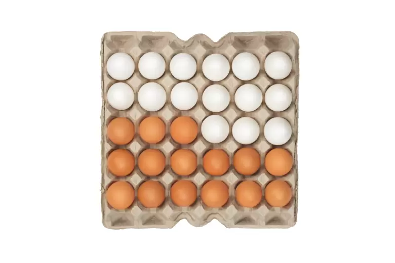 huevos