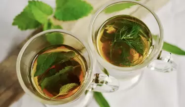 te de menta
