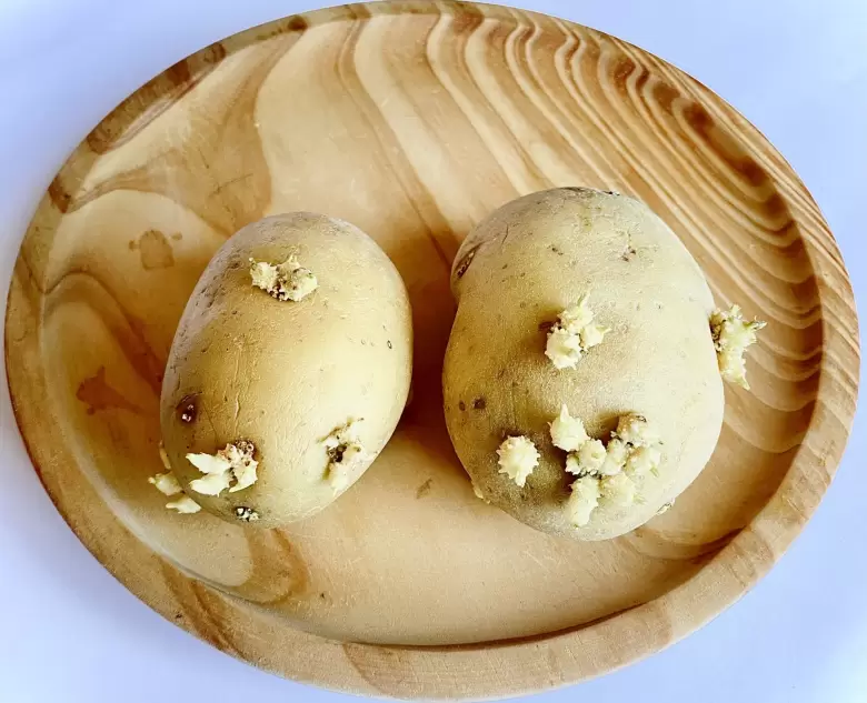 papas brotadas