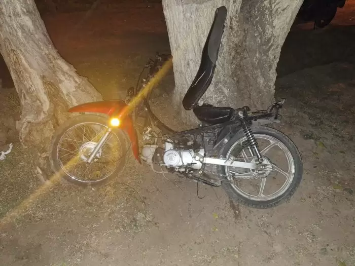 detenidos