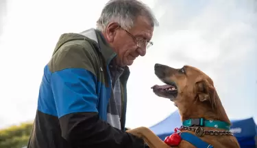 perro mascota