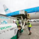Tras un paro sorpresivo, el Gobierno nacional ech� a 15 trabajadores de Intercargo