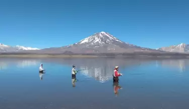 pesca