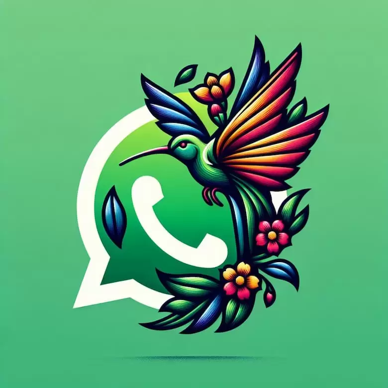 mopo colibri whatsapp