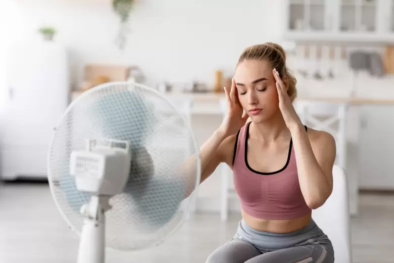 ventilador