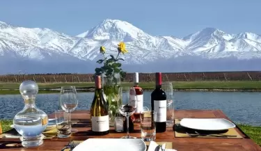 vino en mendoza