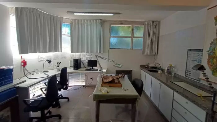 dino