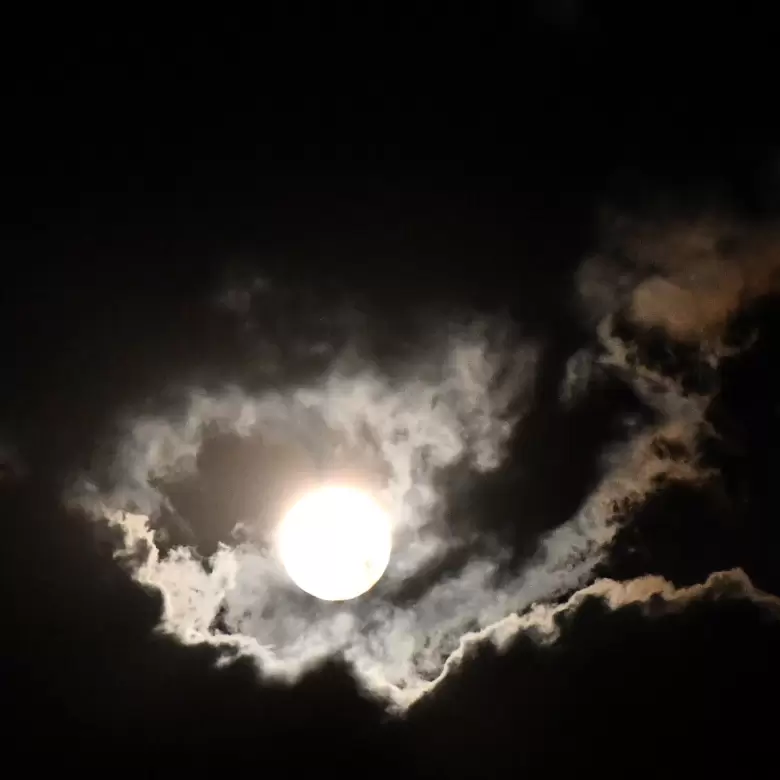 Superluna del sábado 16 de Noviembre de 2024 - Fotos: Tomás Lobo