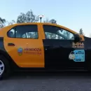 El Gobierno extiende plazos para concurso de licencias de taxis