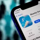 El éxodo de X: ¿A dónde van los usuarios que dejan la red social?