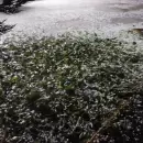 El granizo golpe� fuerte en San Mart�n: productores cuestionan la falta de prevenci�n