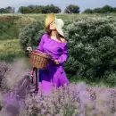 �Qu� revela el color violeta sobre tu personalidad y emociones? seg�n la psicolog�a