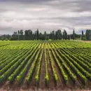 Mendoza es la provincia más feliz de Argentina para vivir