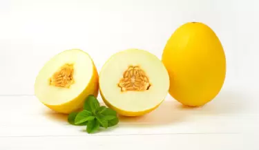 melon