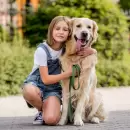 Por qu� los perros se parecen a sus due�os, seg�n la psicolog�a