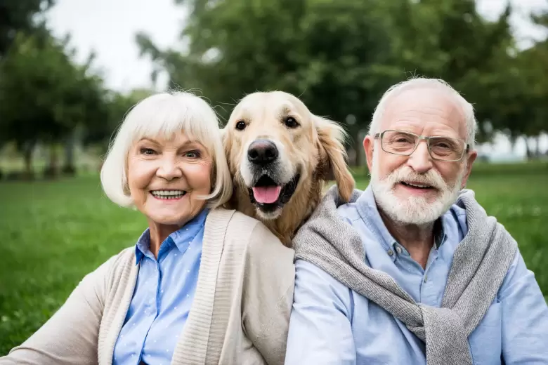 perros