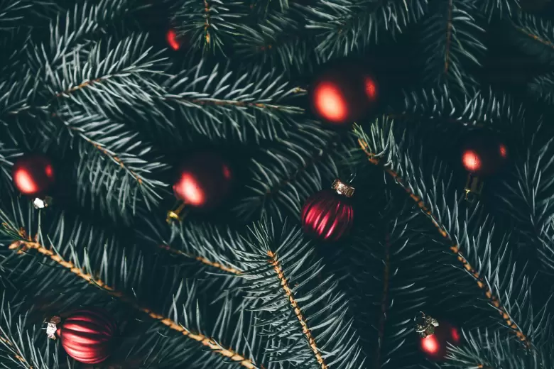 navidad