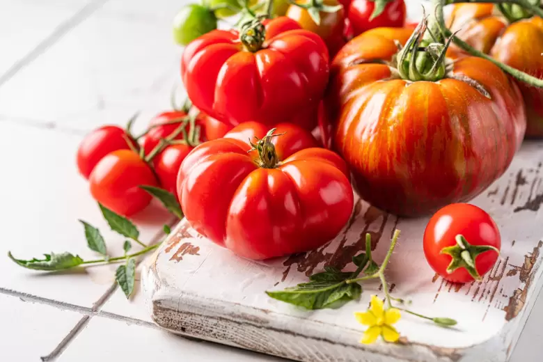 tomate