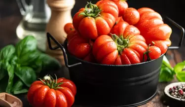 tomate