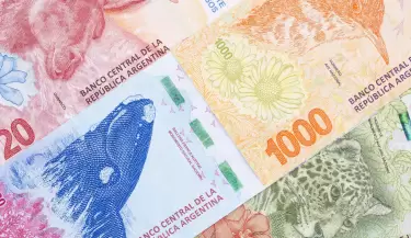 dinero argentino